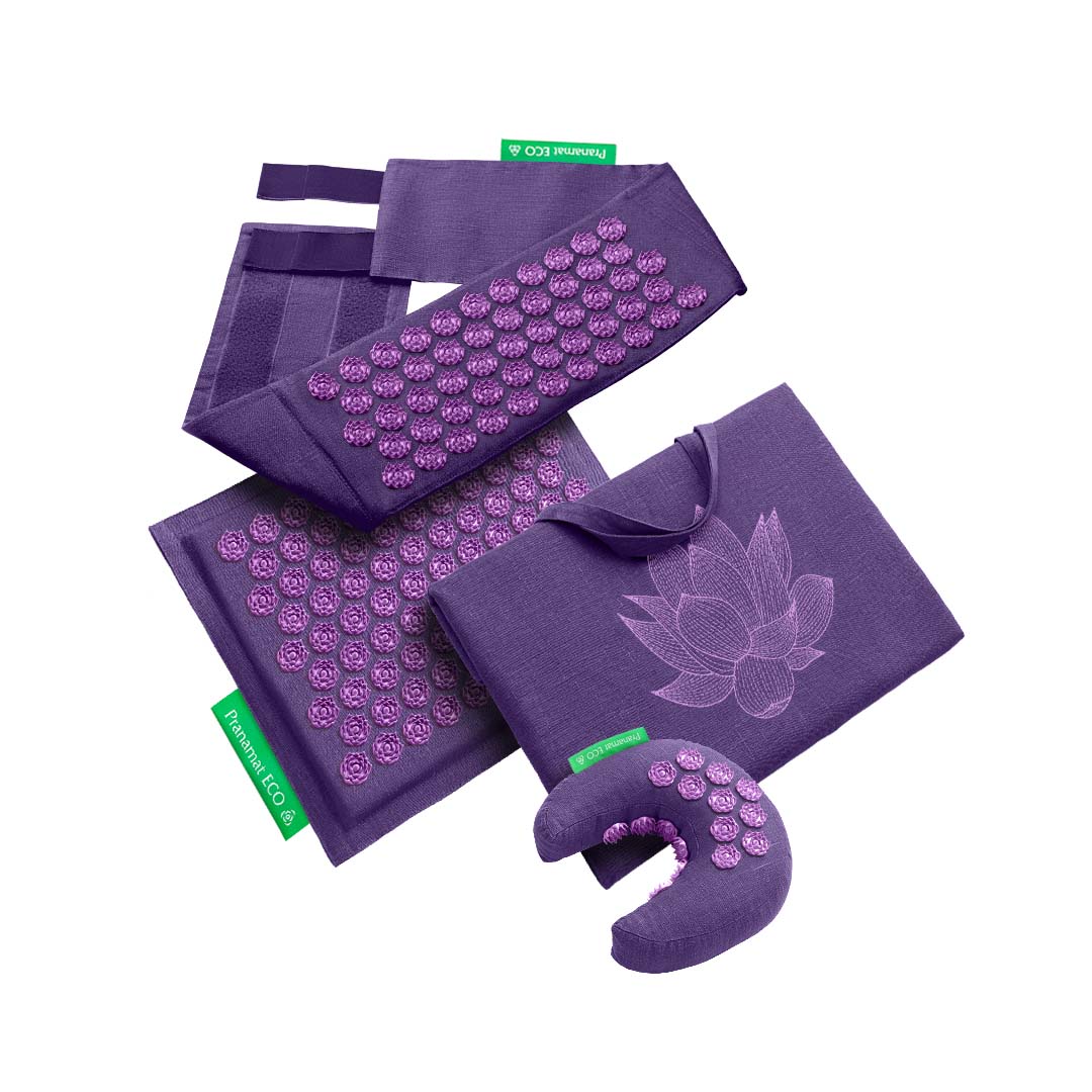 Mini + PranaMoon + PranaBelt + Big Bag (Violet/Violet)